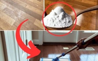 Blanka golv utan kemikalier: Upptäck städföretagens hemlighet!