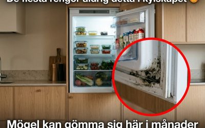 Den dolda delen av kylskåpet som många aldrig rengör 👀