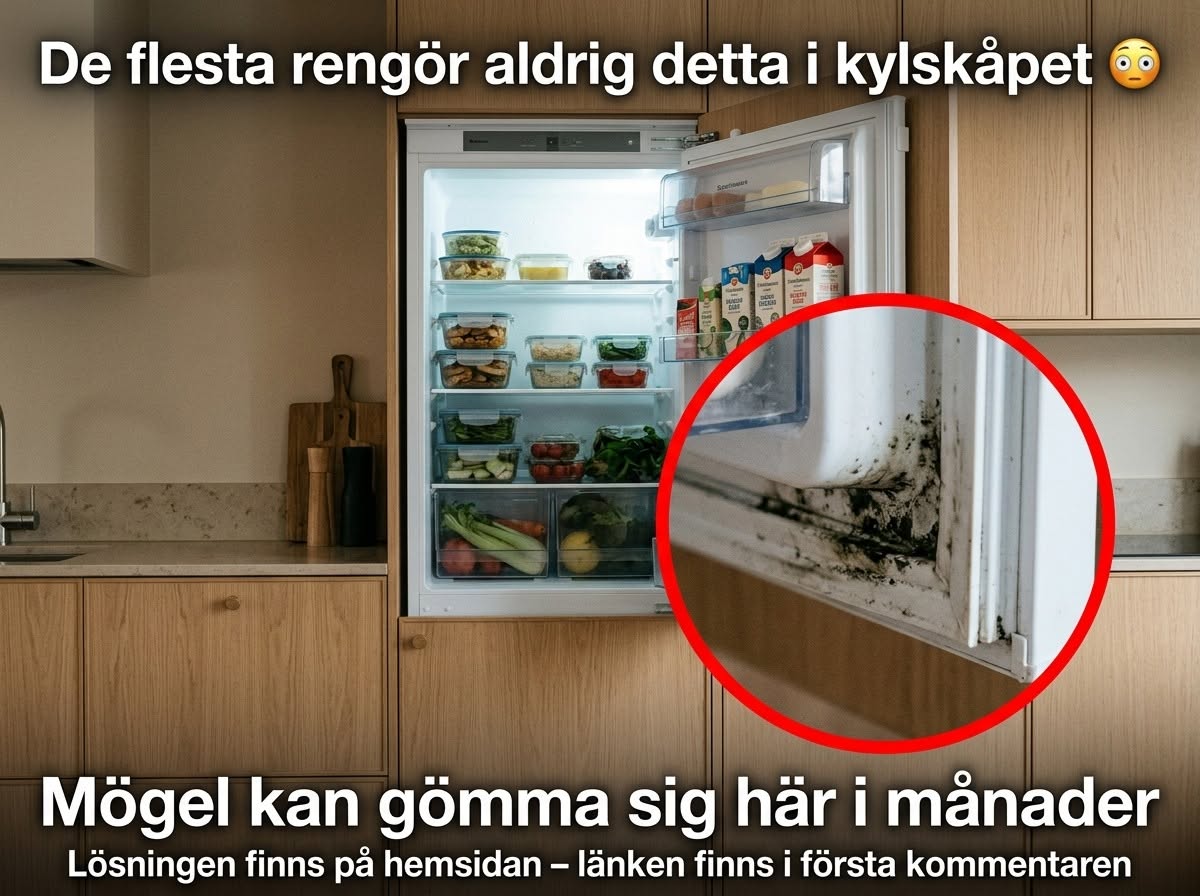 Den dolda delen av kylskåpet som många aldrig rengör 👀