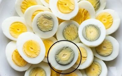 Vad betyder den gröna cirkeln runt äggen?