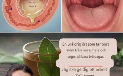 En uråldrig ört som tar bort slem från näsa, hals och lungor på bara två dagar