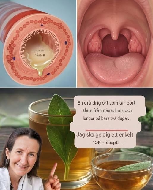 En uråldrig ört som tar bort slem från näsa, hals och lungor på bara två dagar