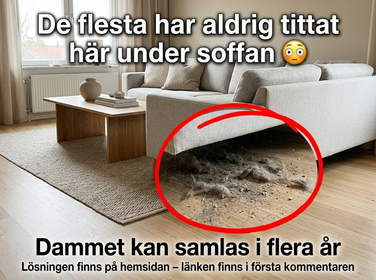 Den gömda platsen under soffan som många glömmer 👀