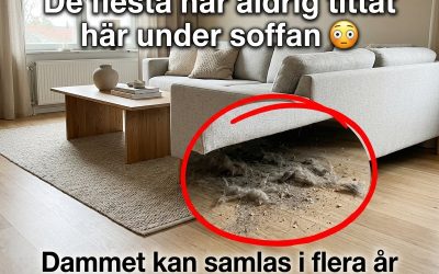 Den gömda platsen under soffan som många glömmer 👀