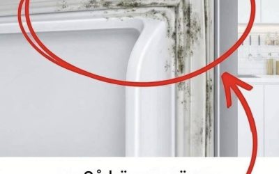 Så här rengör du kylskåpets vattentäta tätning på 5 minuter.
