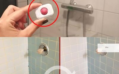1. Installera en diskmaskin i duschen. Varför ska du prova det?