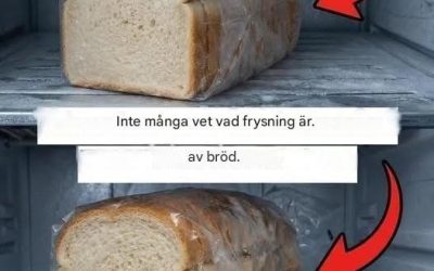 Praktisk guide till att frysa bröd korrekt