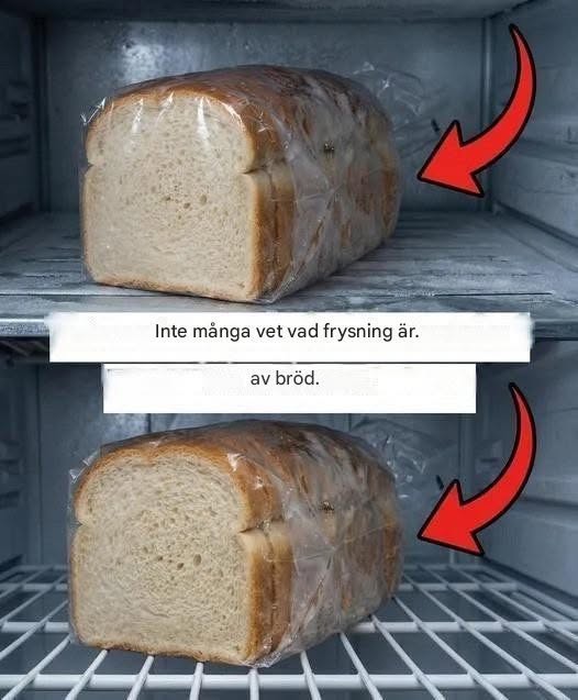 Praktisk guide till att frysa bröd korrekt