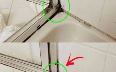 Det snabbaste sättet att ta bort silikonmögel i duschen
