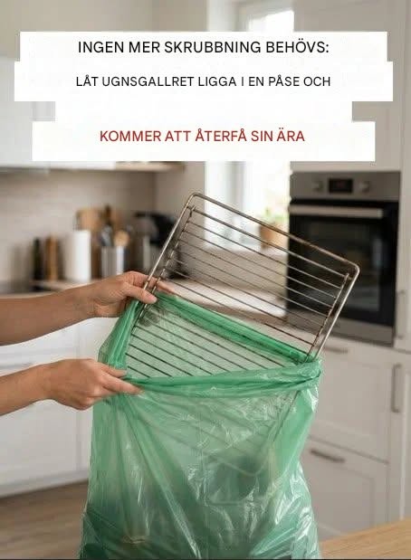 Släpp svampen: det här tricket återställer glansen på ditt ugnsgaller utan krångel