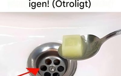 Den naturliga lösningen för fläckfria avlopp!