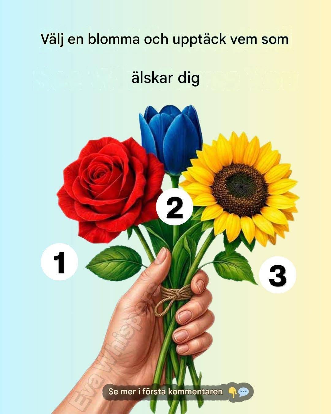 Plocka en blomma och upptäck vem som i hemlighet älskar dig.
