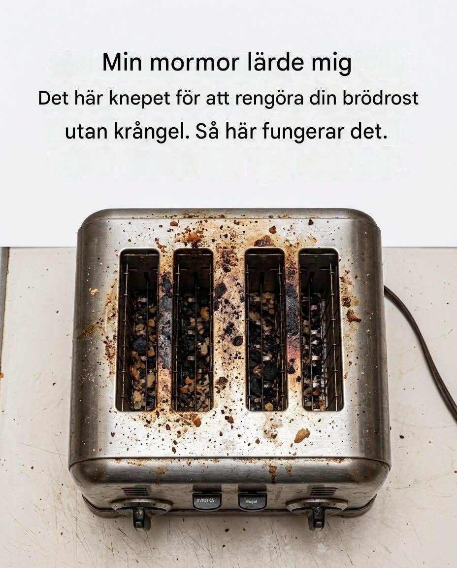 En fläckfri brödrost: Den naturliga metoden som förändrar allt (utan timmar av skrubbning)