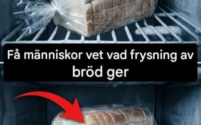 Hur man fryser bröd utan att det torkar ut