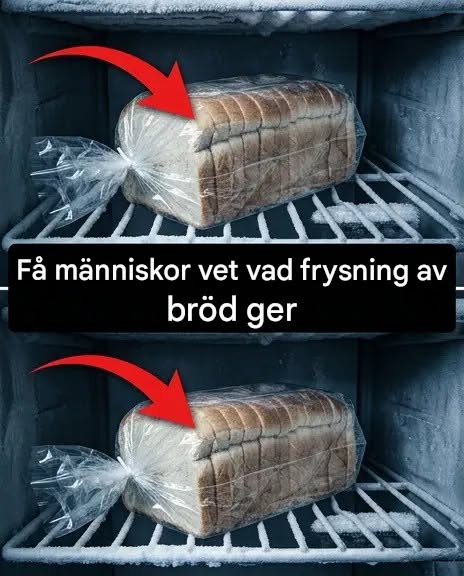 Hur man fryser bröd utan att det torkar ut