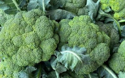Recept på salladsdressing: I utbyte mot ett enkelt “Hej” eller “Tack”! Kan du vänligen muntligen meddela mig hur jag kan fortsätta ta emot dina recept? Tack. 🥰 Kolla in receptet i den första kommentaren 👇🧠💬