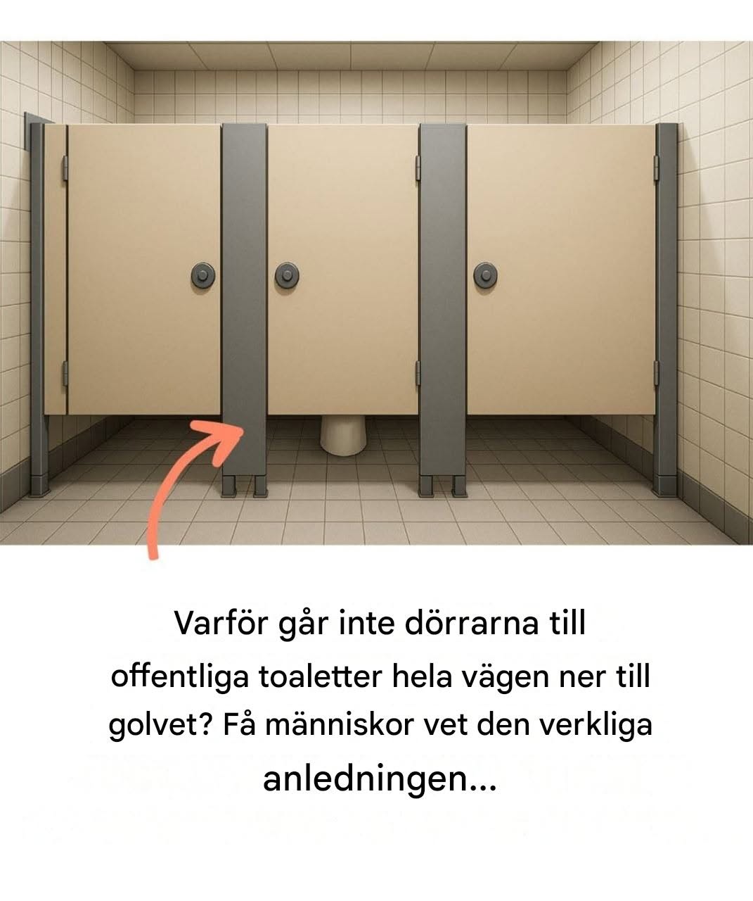 Varför nuddar inte dörrarna till offentliga toaletter golvet? Inte alla vet anledningen! ⬇… Se mer