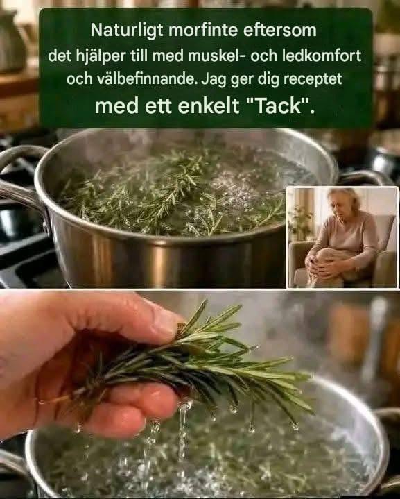 Grön örtbaserad hälsodryck