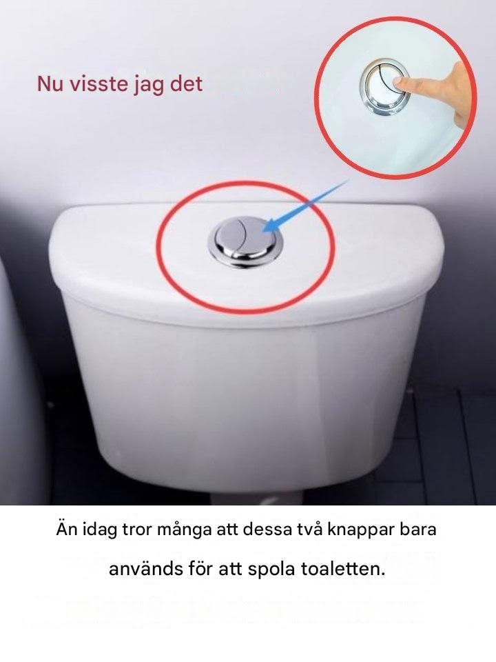 Många tror fortfarande att dessa två knappar bara används för att spola toaletten.