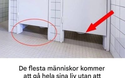 Varför dörrar i offentliga badrum inte når golvet
