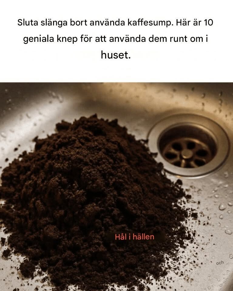 Sluta slänga använda kaffesump. Här är 10 geniala knep för att använda dem hemma.