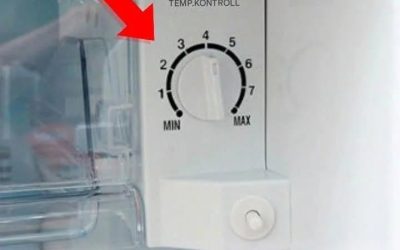 Kylskåpet har en liten knapp som kan spara miljoner i elräkningen: Många vet inte detta