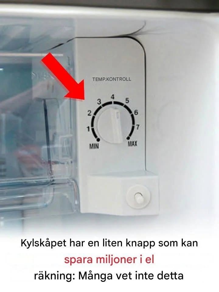 Kylskåpet har en liten knapp som kan spara miljoner i elräkningen: Många vet inte detta