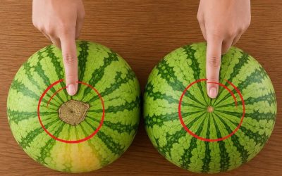 Kolla DETTA STÄLLE: Så här väljer du alltid en söt, saftig och perfekt mogen vattenmelon!
