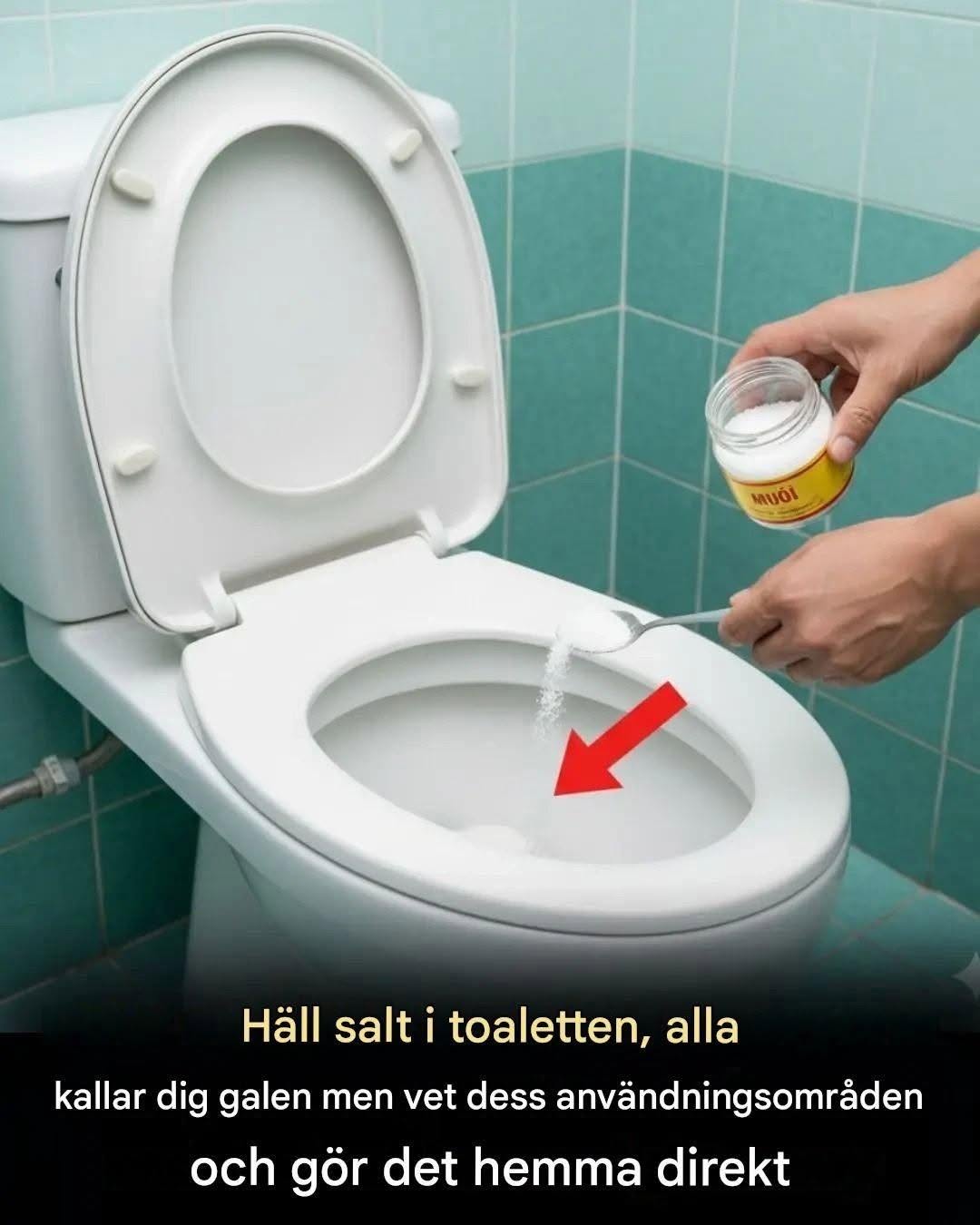 Häll salt i toaletten, alla kallar dig galen men vet dess användningsområden och gör det hemma direkt.