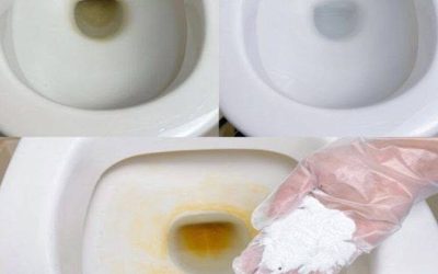 Säg adjö till gula fläckar i toaletten med det här enkla knepet från mormor.