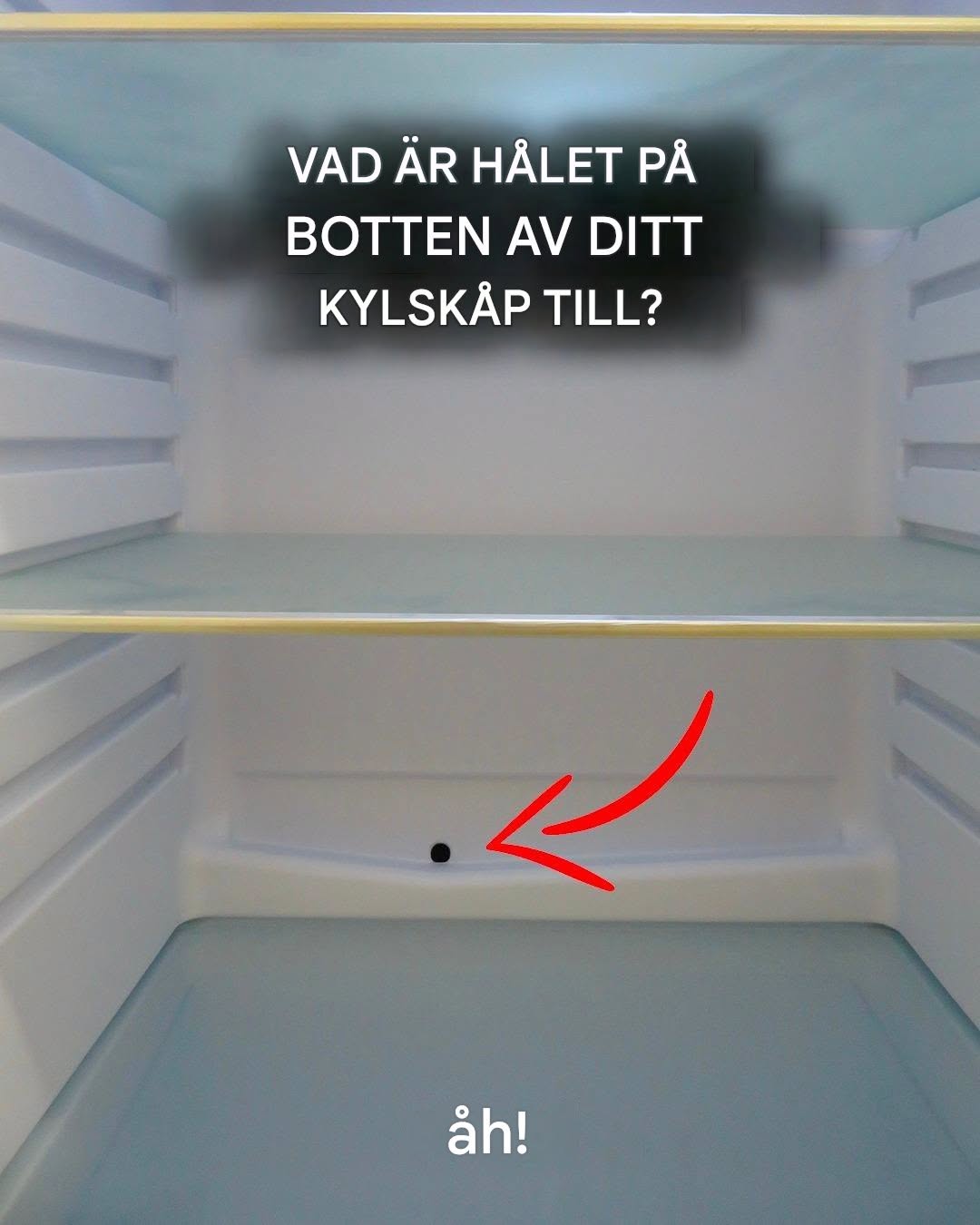 Ett hål i kylskåpet: vad är det och hur rengör man det perfekt? ❄️ Det sitter oftast ovanför grönsakslådan. Vet du vad det är till för? 🥕 Jag förklarar allt i den första kommentaren! 📌