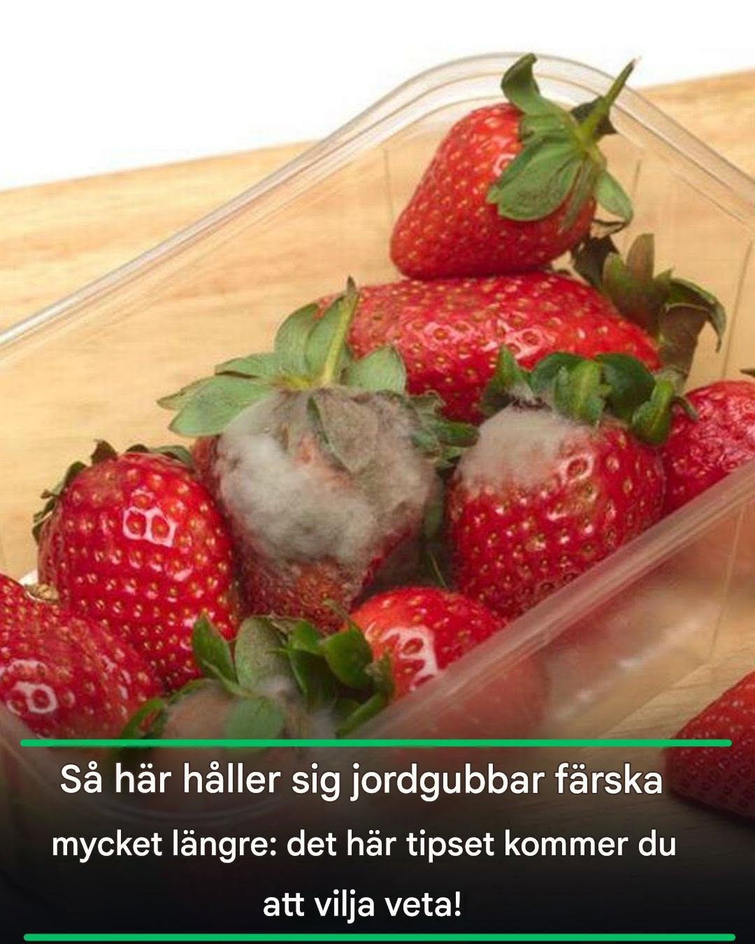 Så här håller sig jordgubbar färska mycket längre: det här tipset kommer du att vilja veta!