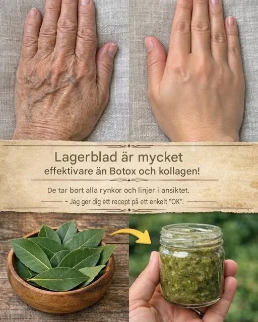 Lagerblad är mycket effektivare än Botox och kollagen! De eliminerar alla rynkor och fina linjer. Du måste säga något så att jag kan fortsätta få mina recept.