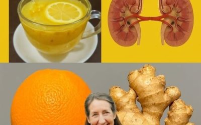 🌿 Följande vitala: Rens nyrene, Leveren och Lungene Med Naturens, den bästa medicinen