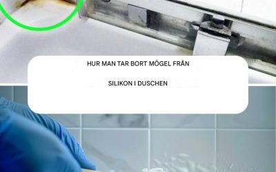 Det snabbaste sättet att bli av med silikonmögel i duschen