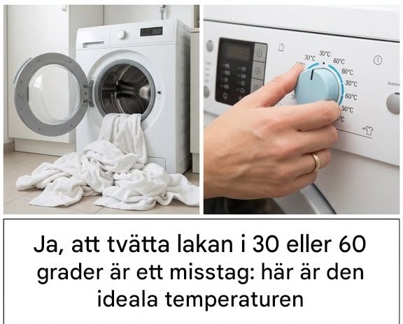 Ja, att tvätta lakan i 30 och 60 grader är ett misstag: här är rätt temperatur