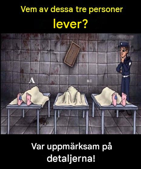 Observationsutmaning: Upptäck mysteriet med denna frusna sce