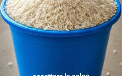 Räkna sedlar: säg bara ja… Läs mer