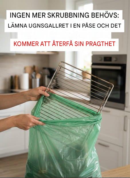 Släpp svampen: det här tricket återställer glansen på ditt ugnsgaller utan ansträngning