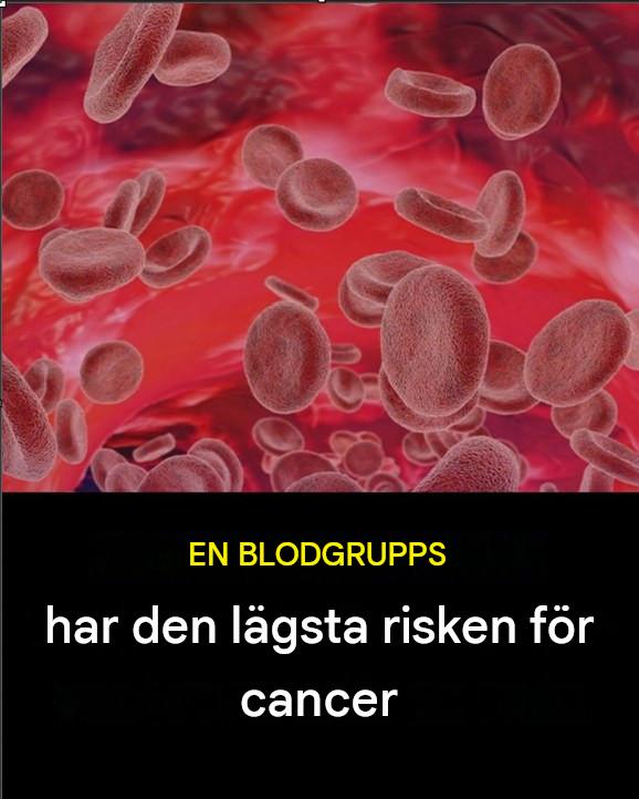 Hälsosamt recept: Upptäck blodgruppen som är förknippad med lägre cancerrisk och den immunstödjande kosten
