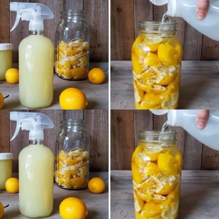 Citrusskal: lägg dem i en glasburk så behöver du aldrig slänga dem igen, precis som min mormor alltid gjorde!