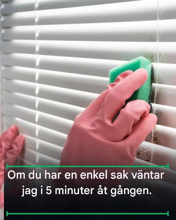 Med det här enkla knepet kommer dina persienner att vara rena inom 5 minuter.