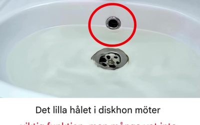 Din diskho föga kända hemlighet: Vad är det lilla hålet egentligen till för?