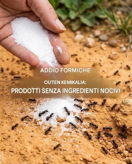 Hur man blir av med myror utan kemikalier: De hatar denna naturliga ingrediens.