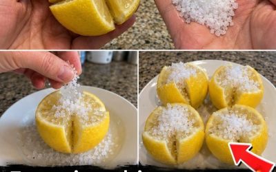 Skär en citron i fyra bitar, tillsätt salt och låt den stå i rummet – Det här tipset förändrar människors liv! Skriv ett “OK” så publicerar jag hela metoden!