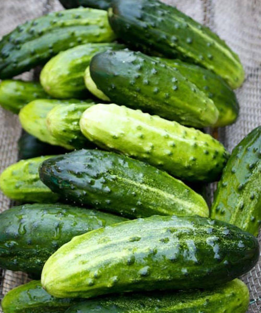 🥒 Läkare avslöjar att gurksallad kan orsaka… – är det verkligen värt att oroa sig för?