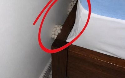 Jag kom hem utmattad och förväntade mig en fridfull natt, men en liten detalj fick mig att inse att något var fel.