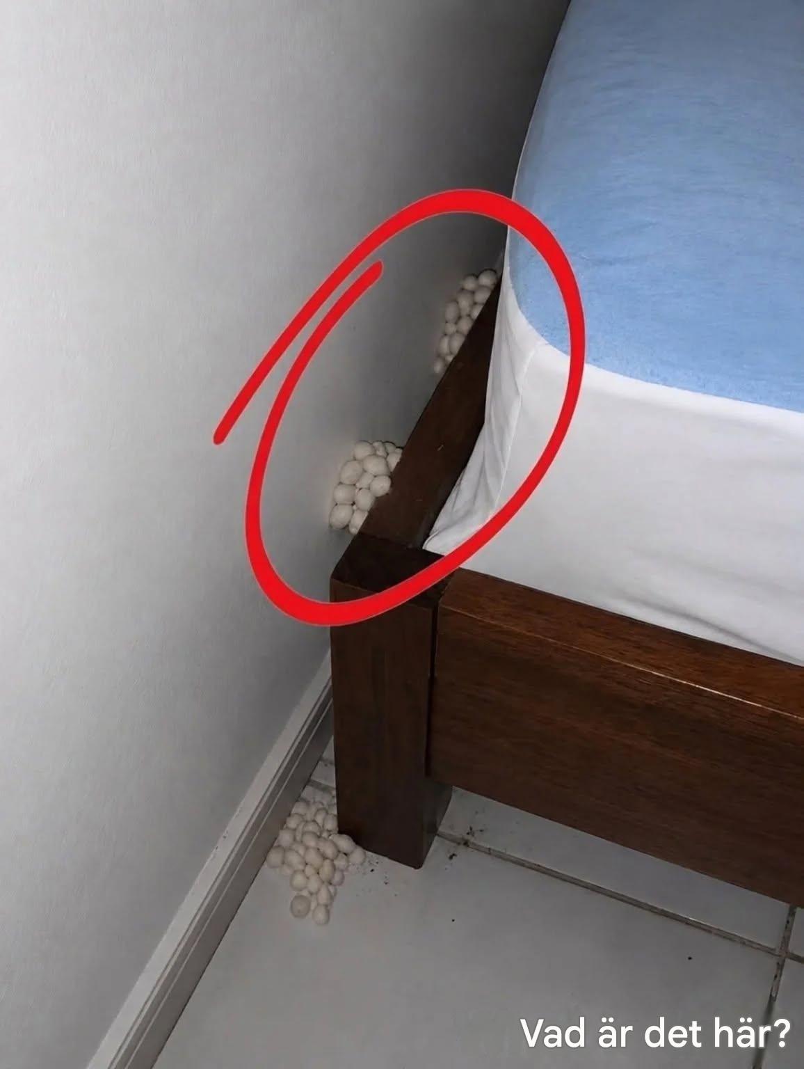Jag kom hem utmattad och förväntade mig en fridfull natt, men en liten detalj fick mig att inse att något var fel.