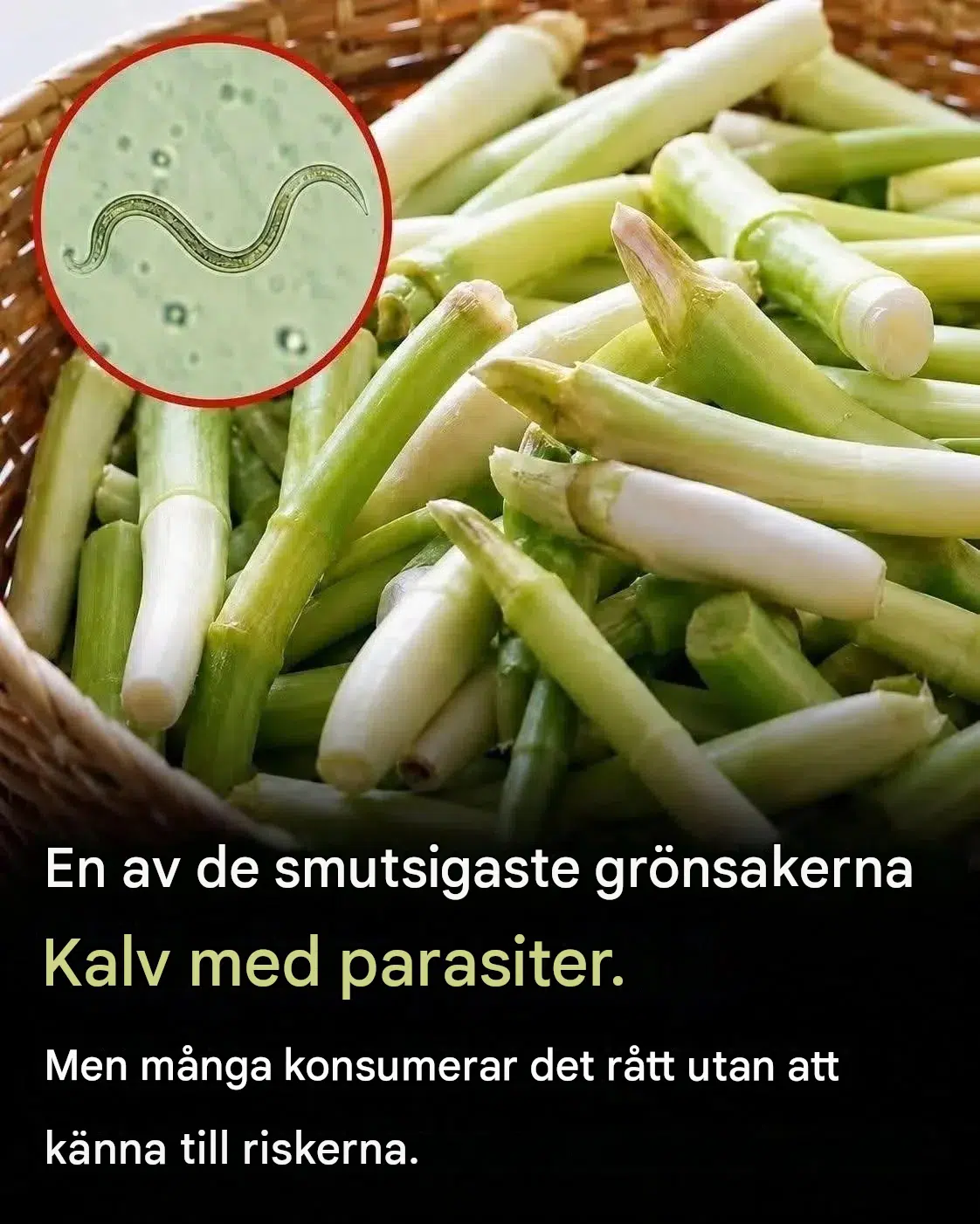 Vilka grönsaker kan ha högre risk för parasiter? – Vad du bör veta