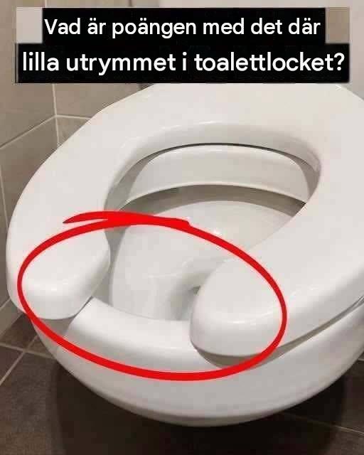 Jag hade ingen aning om att litet utrymme i toalettlocket faktiskt betyder… Se mer